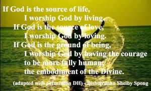 SPONG Living pastordawn